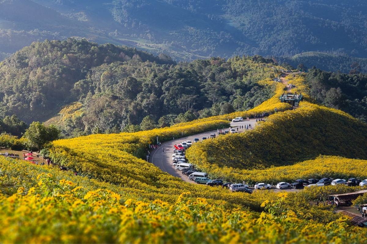 Mae Hong Son mountain road